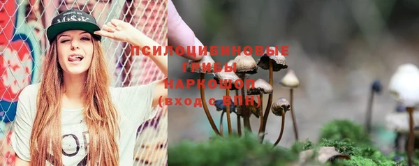 СК Алексин