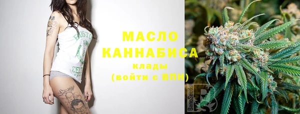 СК Алексин