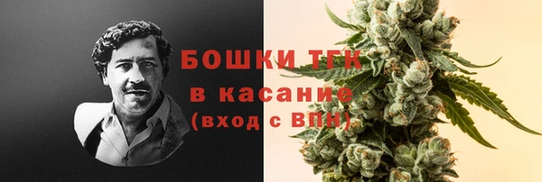 дурь Покачи
