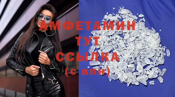 стафф Алзамай