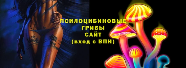 стафф Алзамай