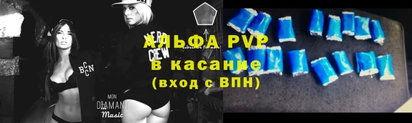 СК Алексин