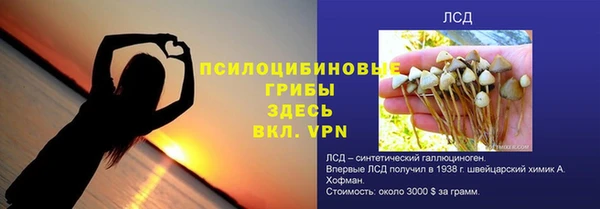 СК Алексин