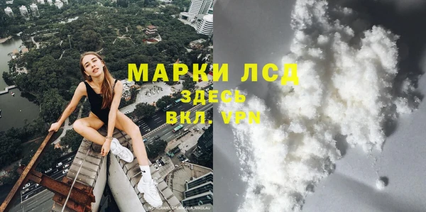 стафф Алзамай