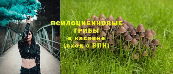 СК Алексин