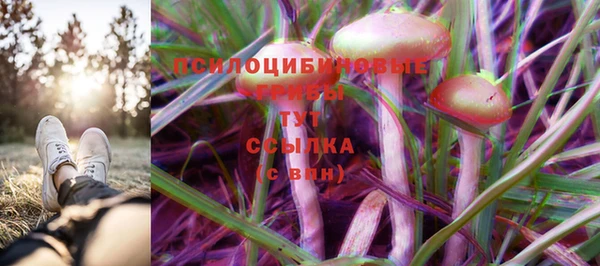 стафф Алзамай