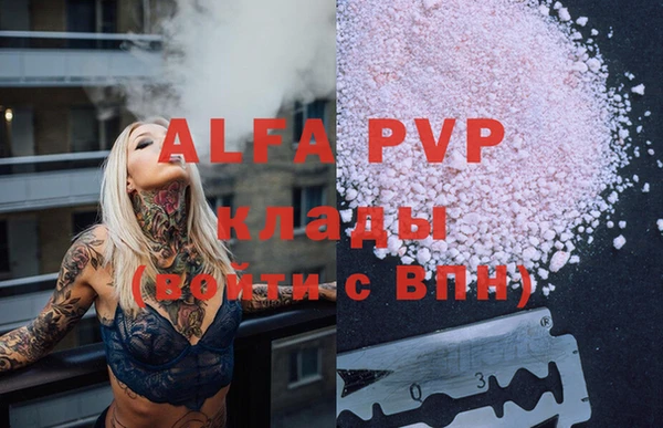 стафф Алзамай