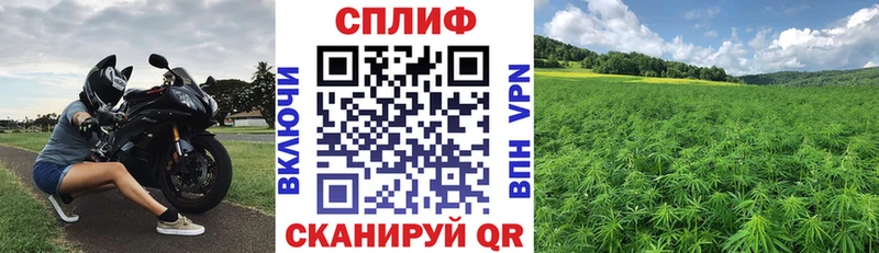 Бошки марихуана ГИДРОПОН  гидра ТОР  мориарти формула  купить  цена  Кондопога 